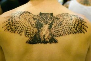 12+ Best Owl Wings Tattoo Ideas - PetPress