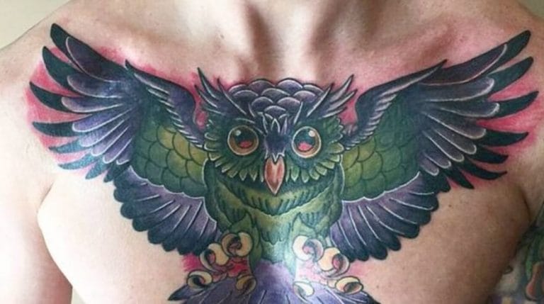 12+ Best Owl Wings Tattoo Ideas - PetPress