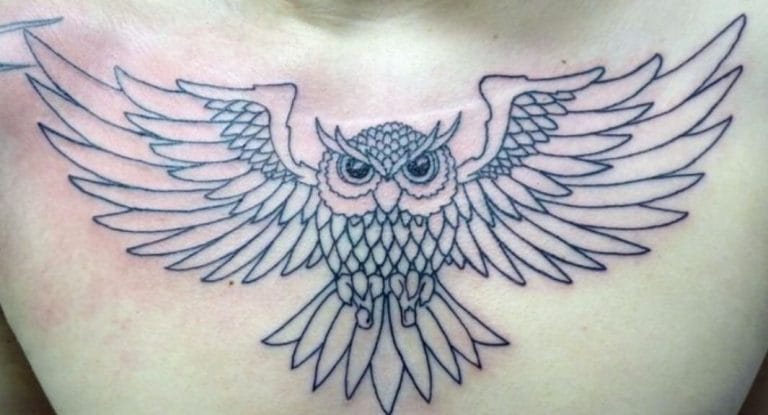 12+ Best Owl Wings Tattoo Ideas - PetPress