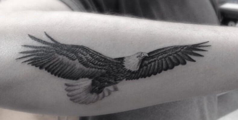 Bald eagle tattoo – by Dani – Maui Tattoo Artist at Mid-Pacific Tattoo |  Mid-Pacific Tattoo
