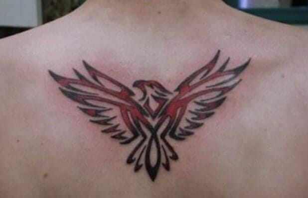 Tattoo uploaded by Lasbi  eagle on neck EagleHead eagletattoo eagle  necktattoos neck realistic realism color bird  Tattoodo