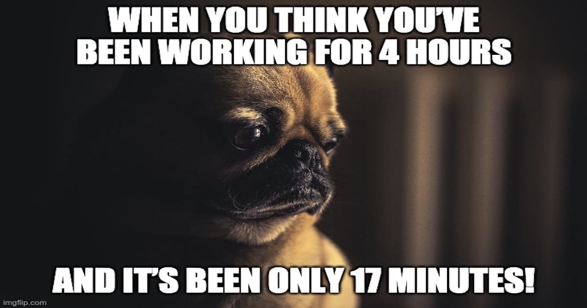 Best 20+ Dogs Working From Home Memes List