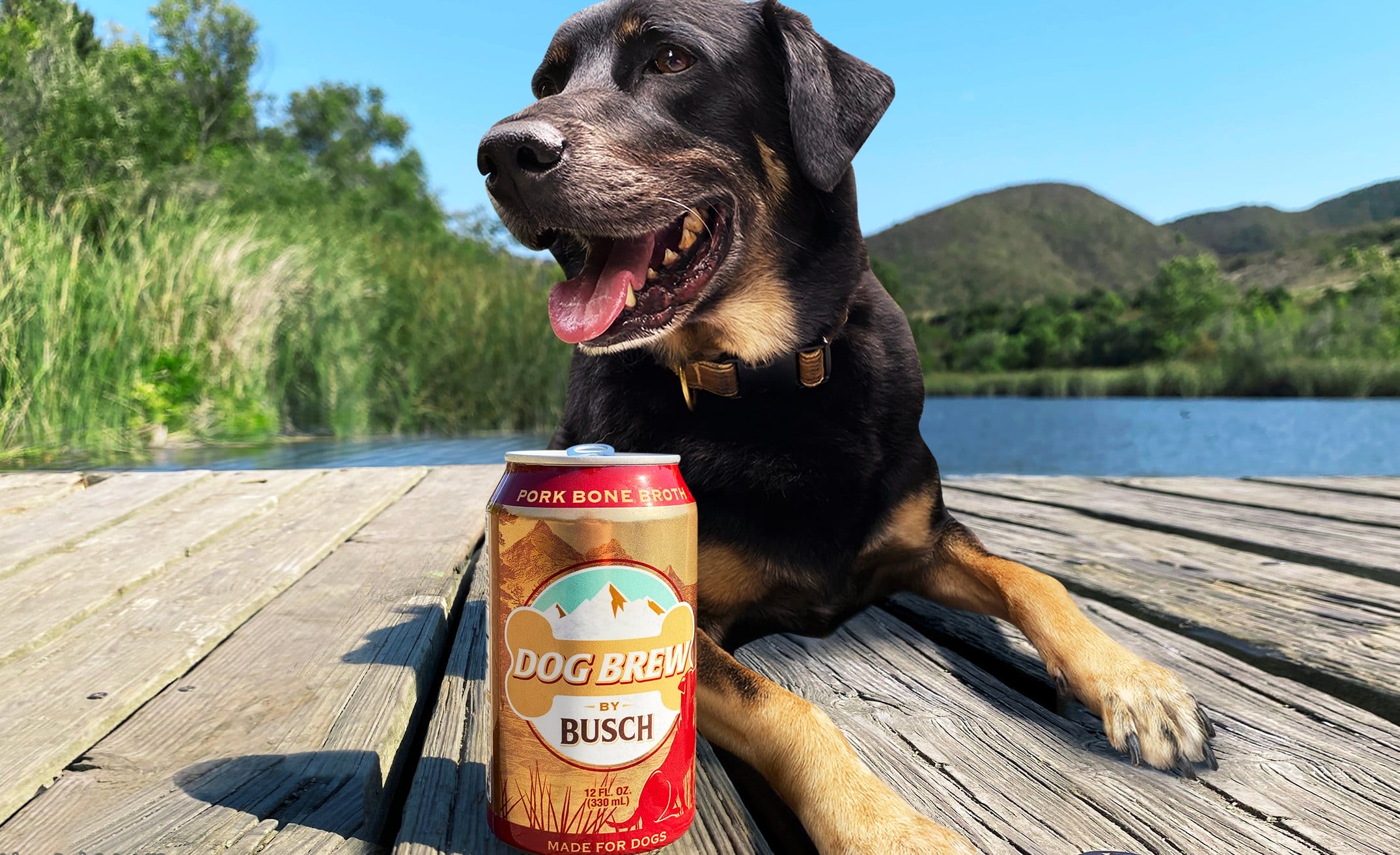 Finally A Beer Your Dog Can Drink!