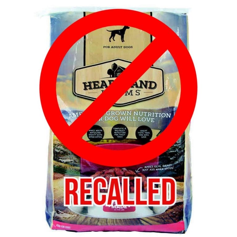 Warning! These 10 Dog Foods Have Been Recalled (2020) - PetPress