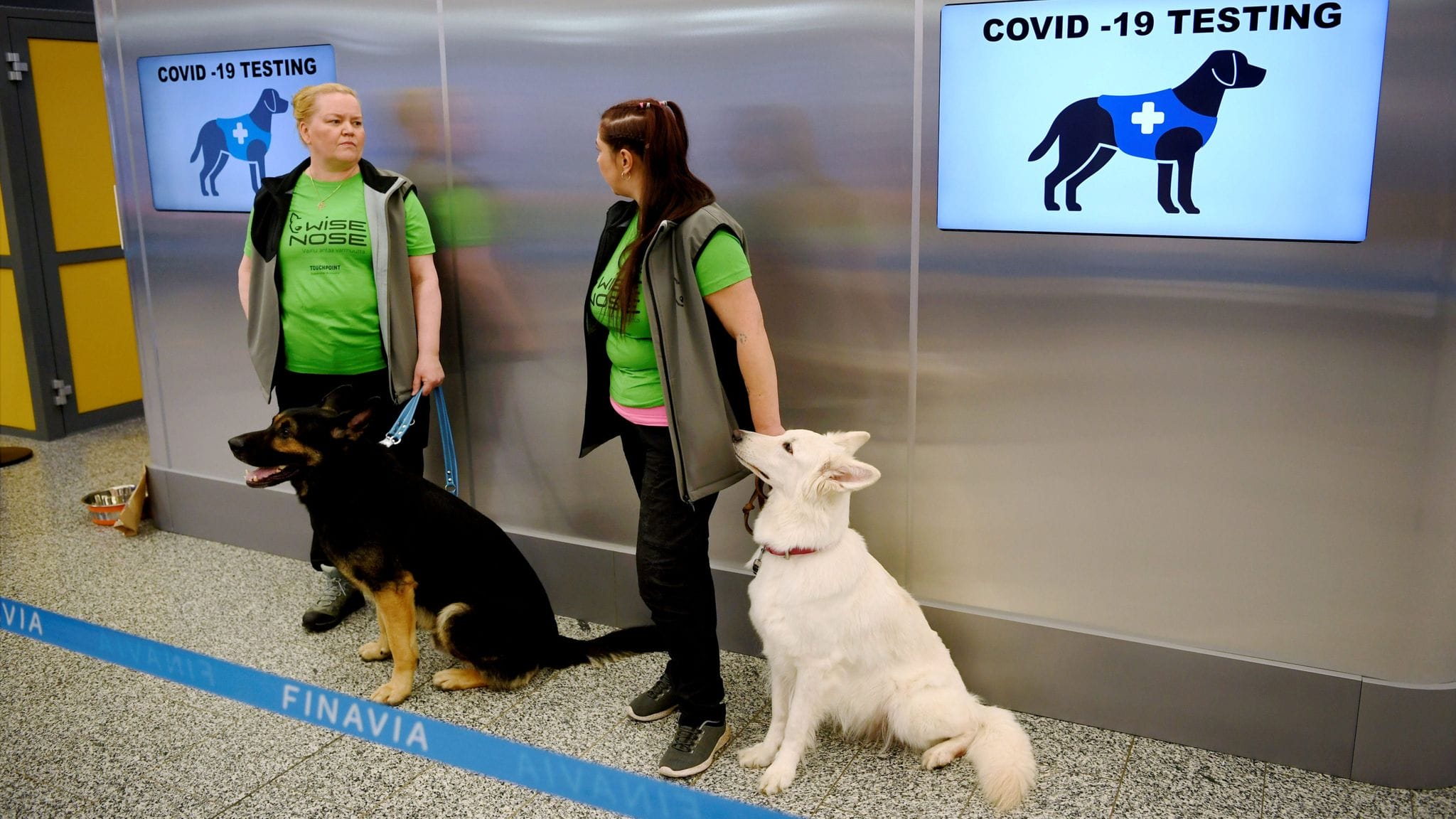 These Dogs Are Trained To Sniff Out Coronavirus - PetPress