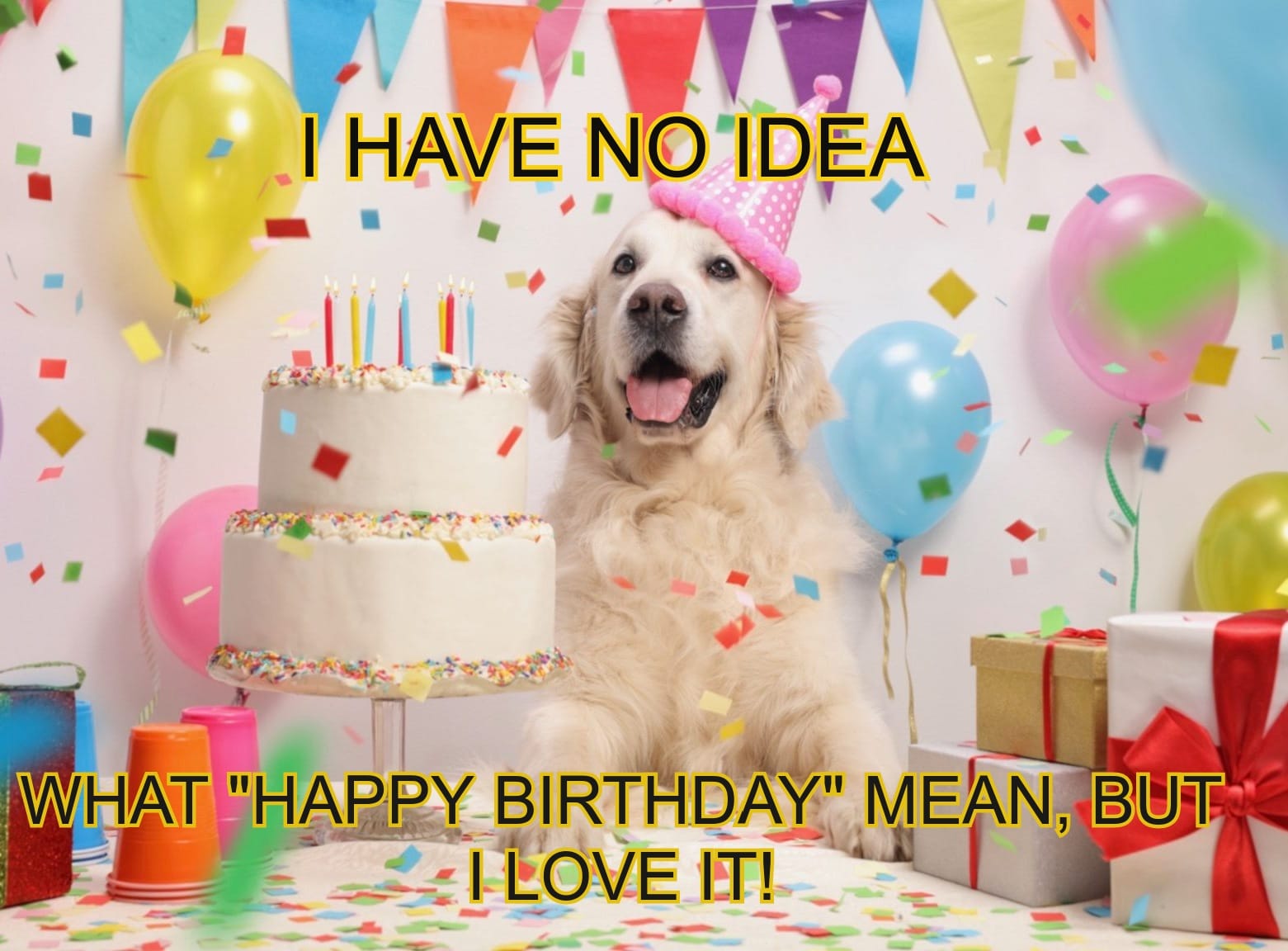 15+ Best Happy Birthday Dog Memes For Your Enjoyment - PetPress