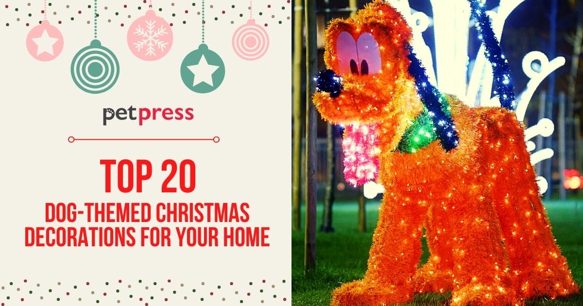 Top 20 DogThemed Christmas Decorations For Your Home