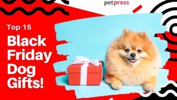 black friday dog gifts