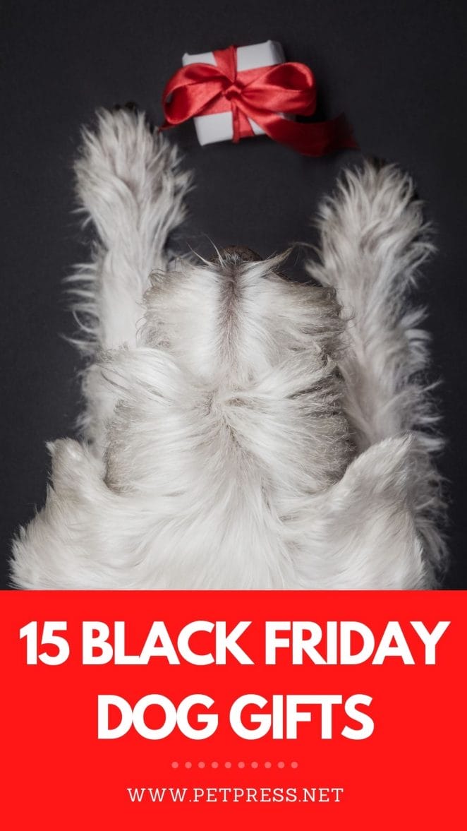 black friday dog gifts