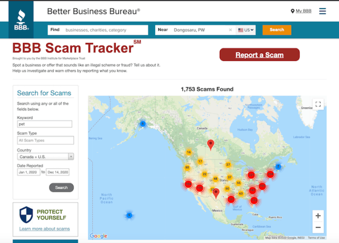 BBB Scam tracker | Petpress