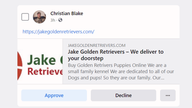 christian black puppy scam