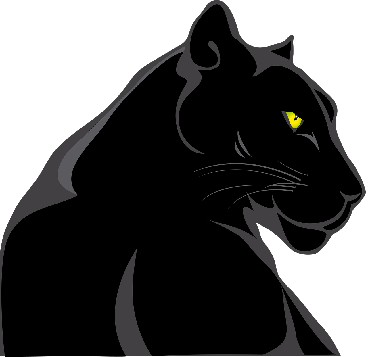 70+ Famous Black Panther Names From Movies PetPress