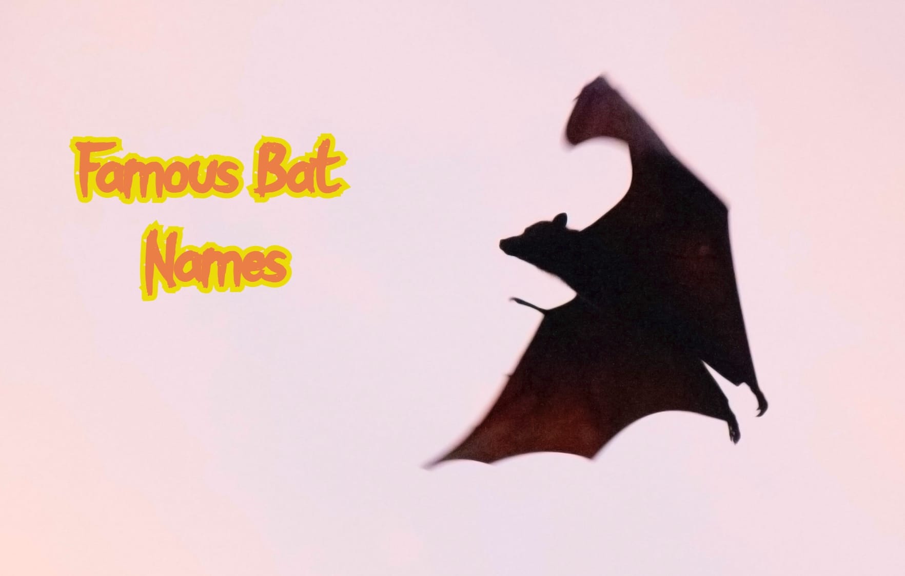 80+ Famous Bat Names With Funny, Cute, & Cool Bat Names
