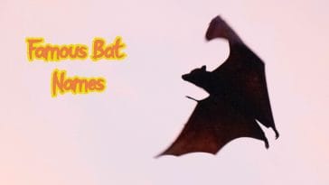 famous-bat-names