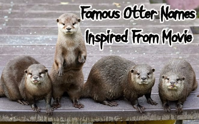 famous-otter-names-movie