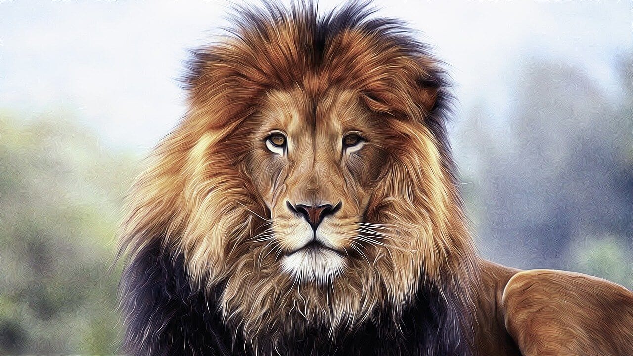 What is your Spirit Animal? Take the Quiz! What is your Spirit Animal? Take the Quiz!