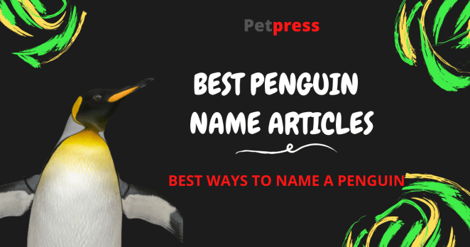 penguin-name-articles