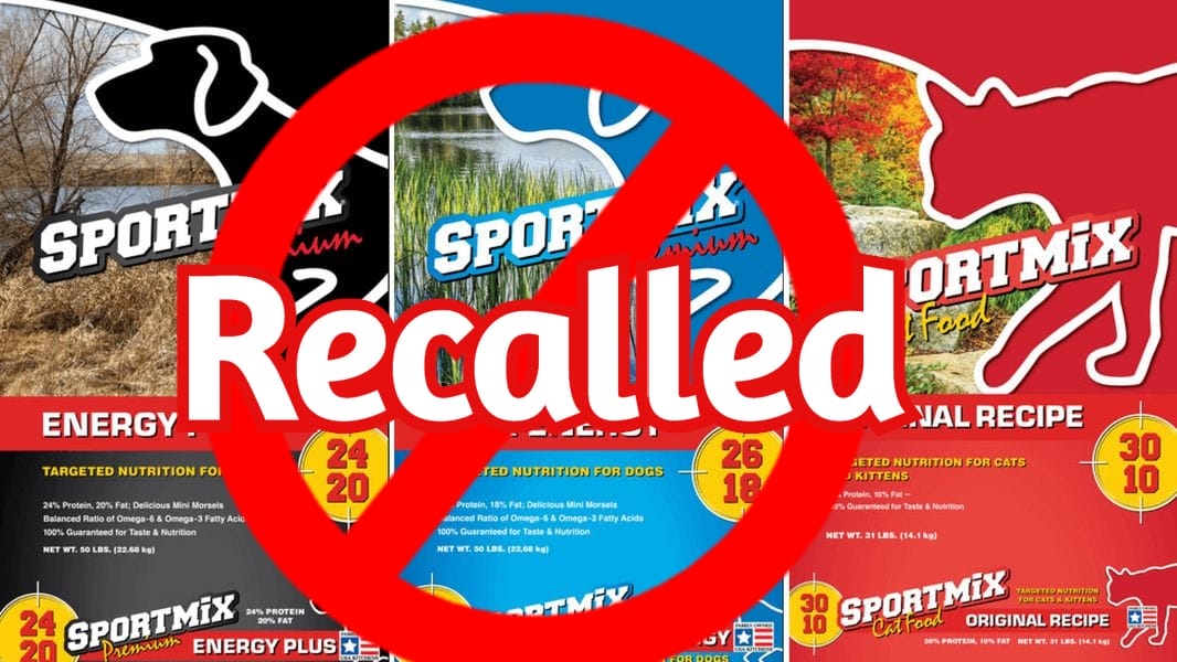 Beware! Here Are 10+ Pet Foods Recalled By FDA 2021