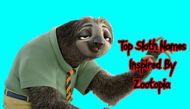 Top 20+ Famous Sloths Names From Movies | PetPress