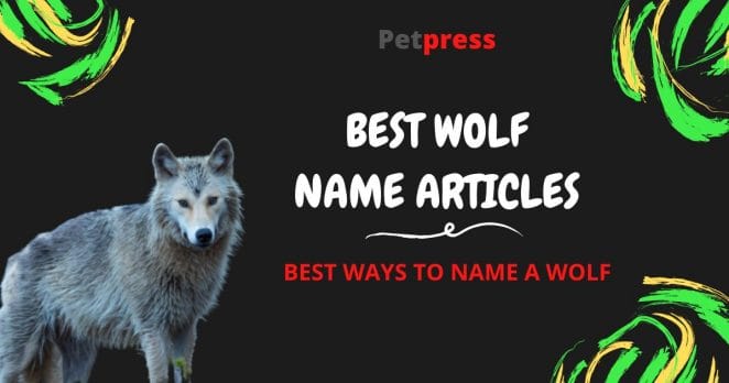 wolf-name-articles