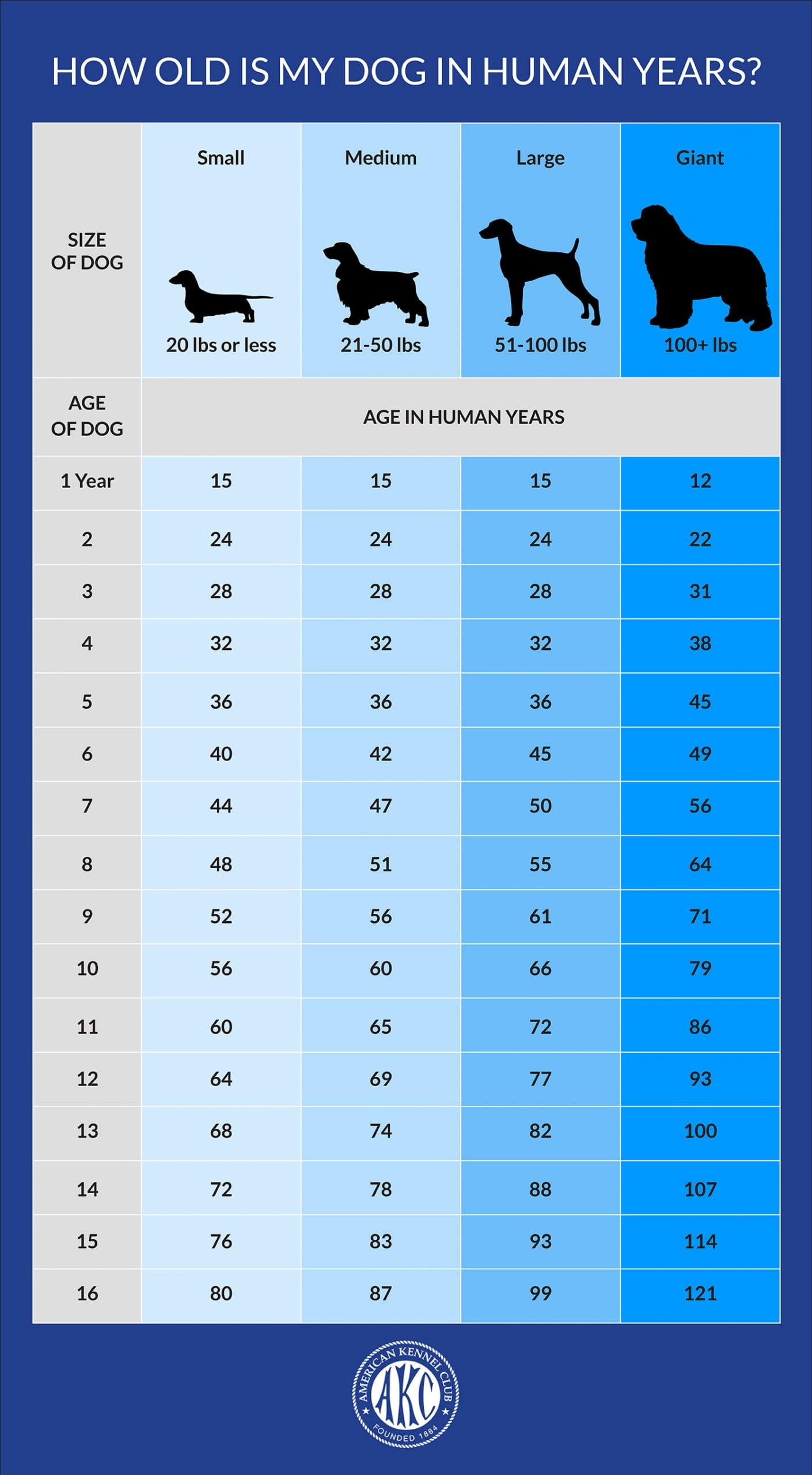 Dog_Age_Chart