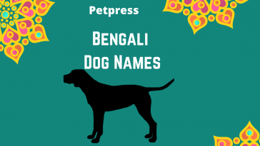 bengali-dog-names