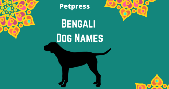 bengali-dog-names