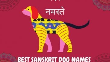 best sanskrit dog names for both male and female