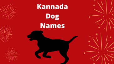 kannada-dog-names