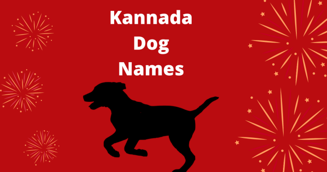100+ Best Kannada Dog Names - Male & Female Names For Your Pet Dog -  PetPress
