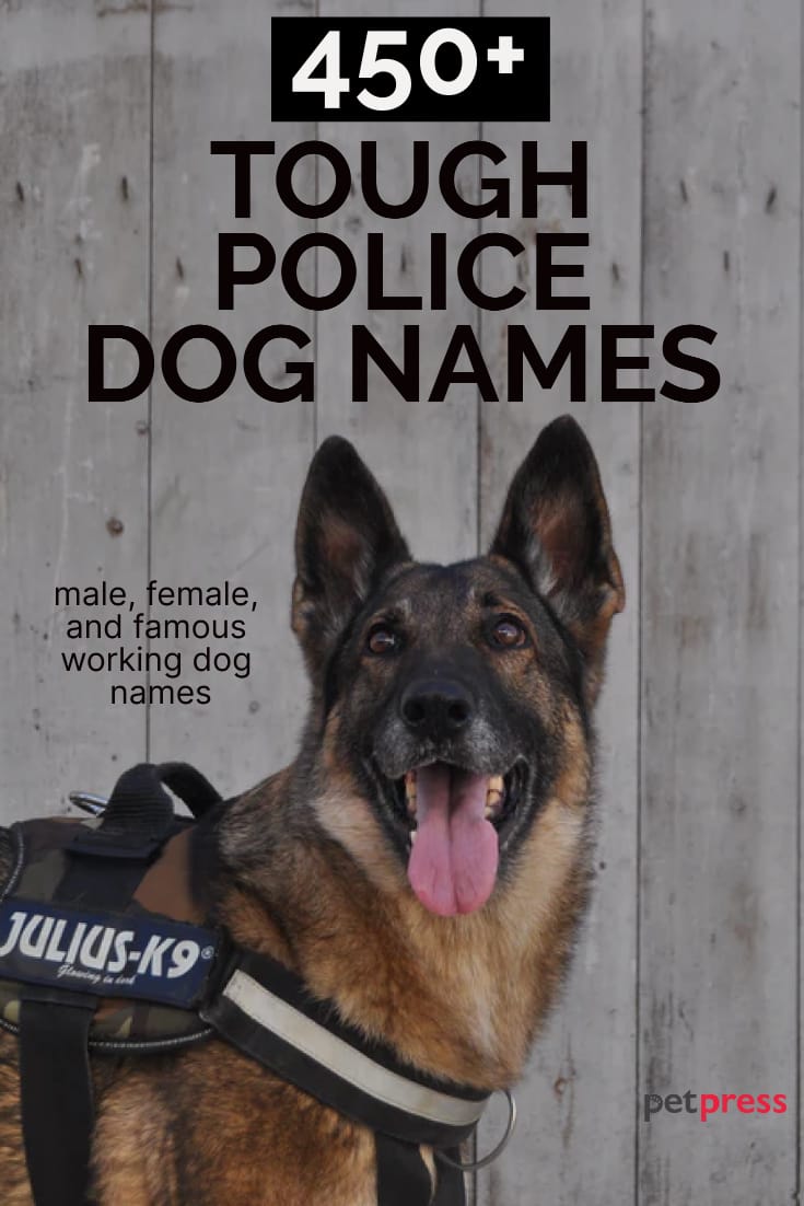 Police Dog Names