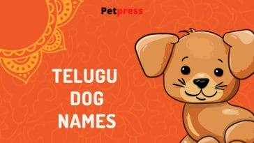telugu-dog-names