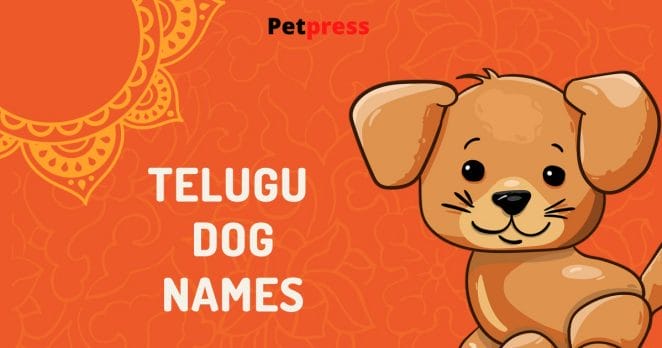 telugu-dog-names