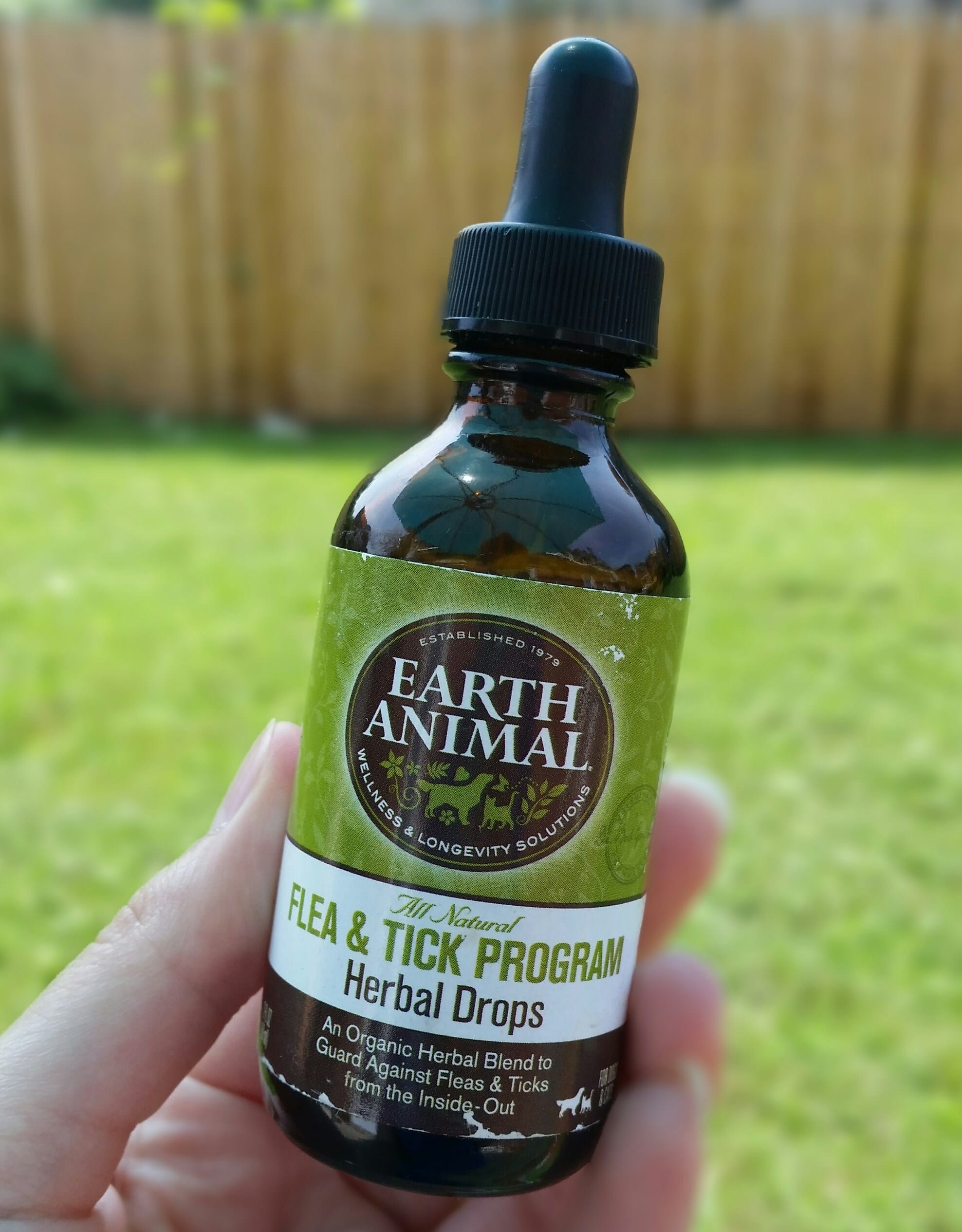 7 Best Ways To Naturally Get Rid Of Dog Fleas & Ticks PetPress