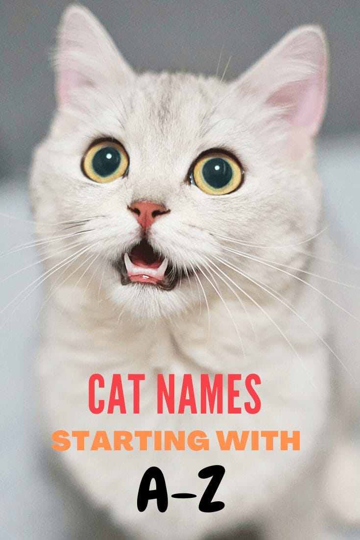 cat names starting with a-z