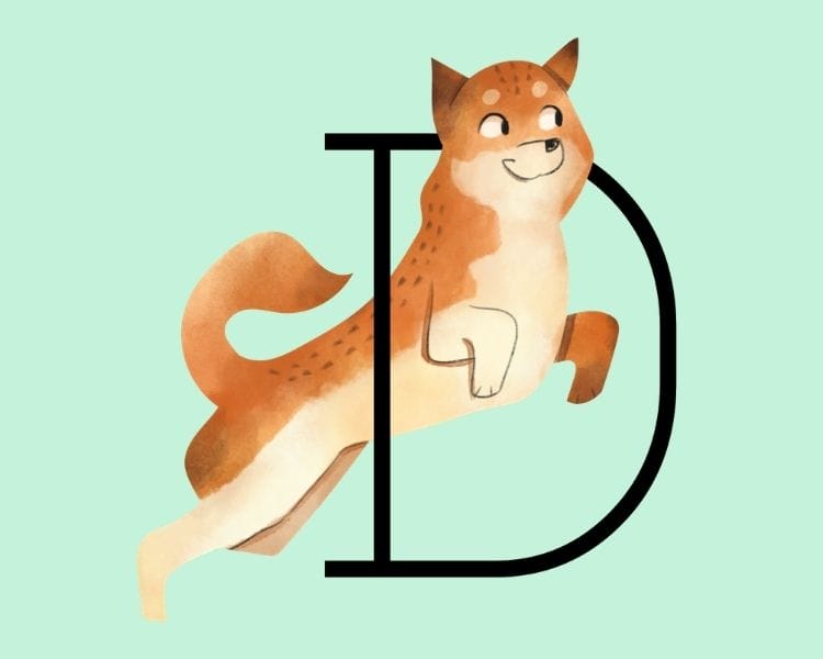 Complete List of Dog Names Starting With A to Z PetPress