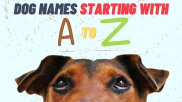 dog names starting with a to z