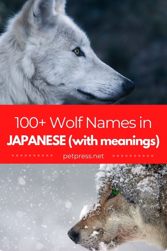 japanese wolf names for naming a pet