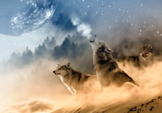 wolf names in mythology - featured