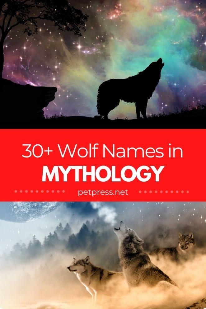 wolf names in mythology for naming a pet