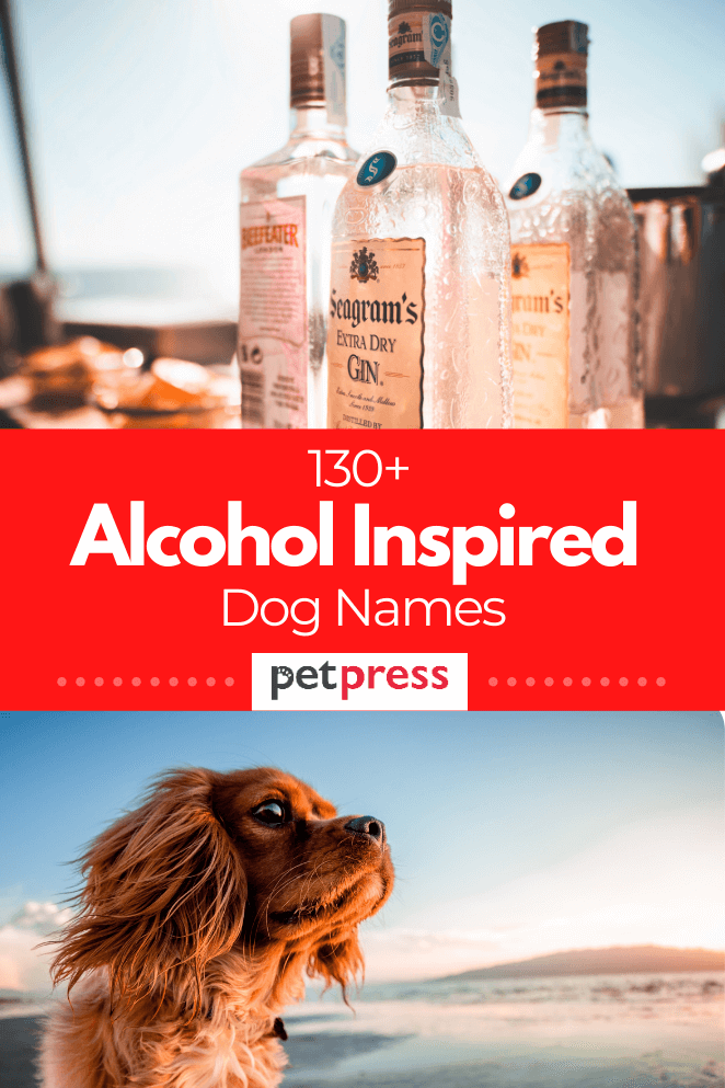 alcohol-dog-names