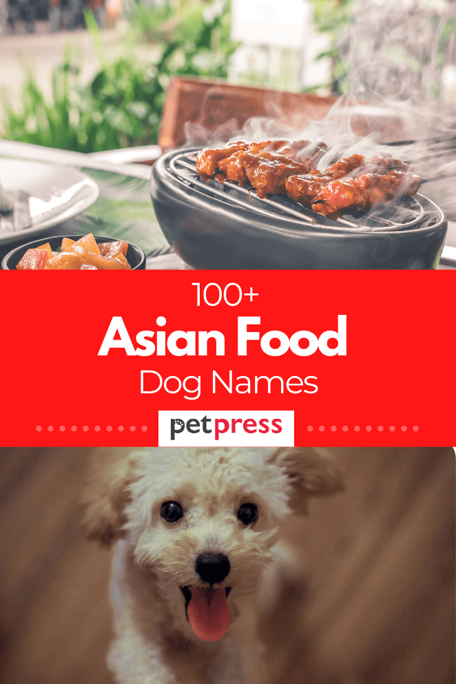 asian-dog-food-names