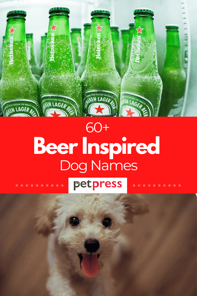beer-inspired-dog-names