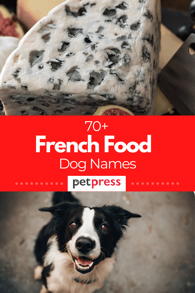 70+ French Foods For Your Cute And Adorable Dog Names