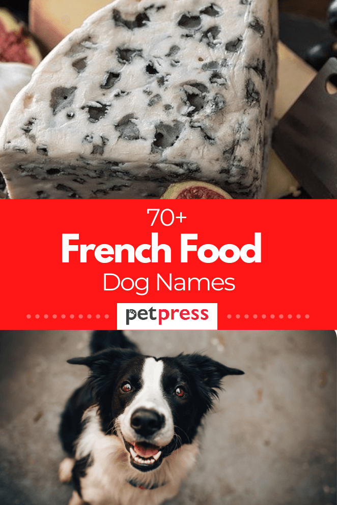french-food-dog-names
