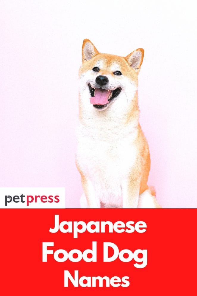 japanese-food-dog-names