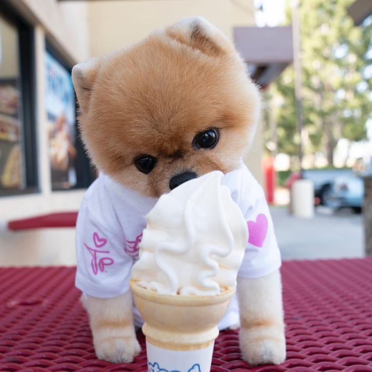 jiffpom