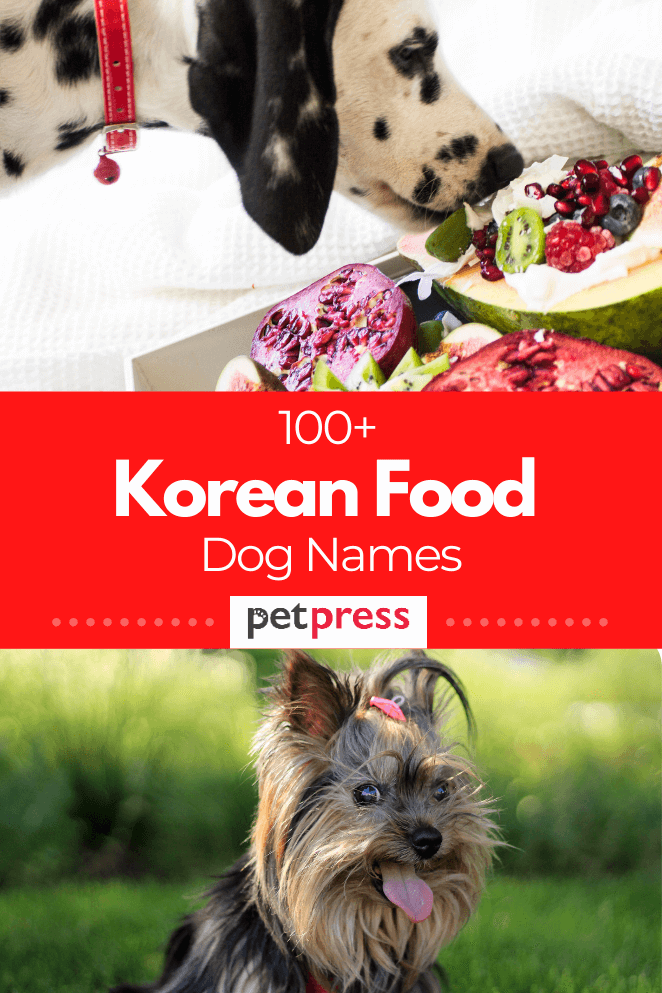 korean-food-dog-names