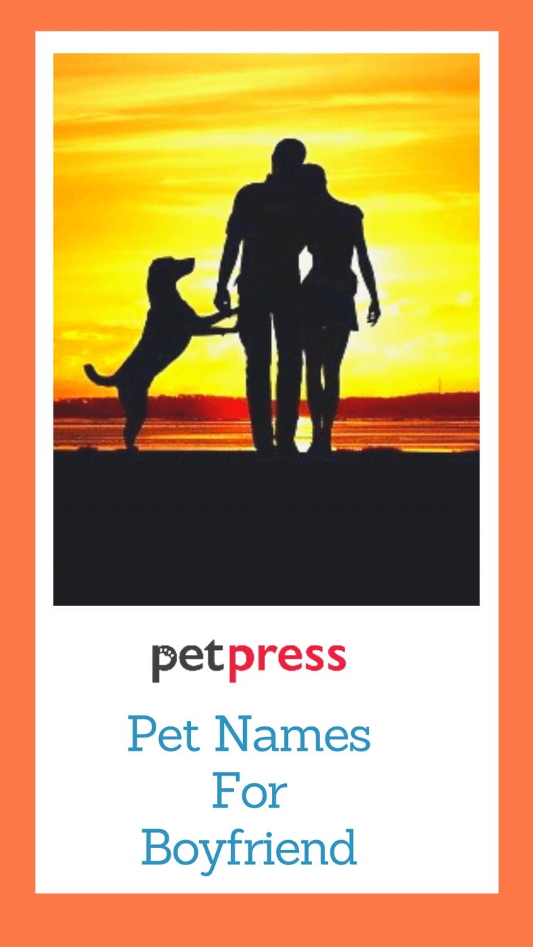 170 Best Pet Names For Boyfriend Nickname For Your Lovely Man   Pet Names For Boyfriend 768x1365 