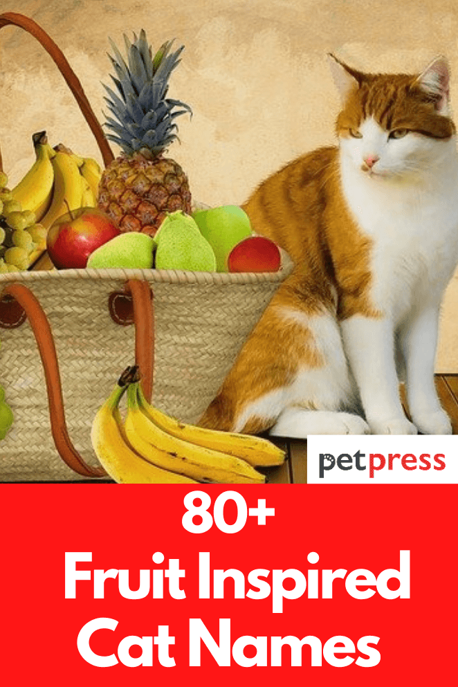 cat-fruit-names